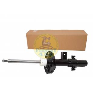 Left Hand Rear Shock Absorber 
